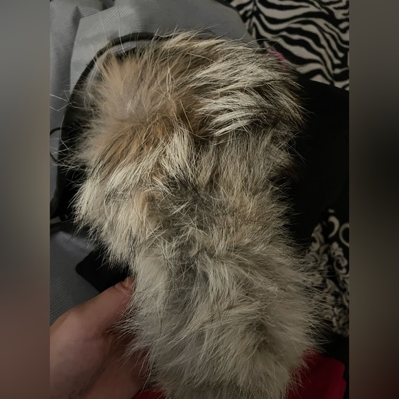 BRAND NEW Canada Goose Chelsea Parka Black - Picture 7 of 15